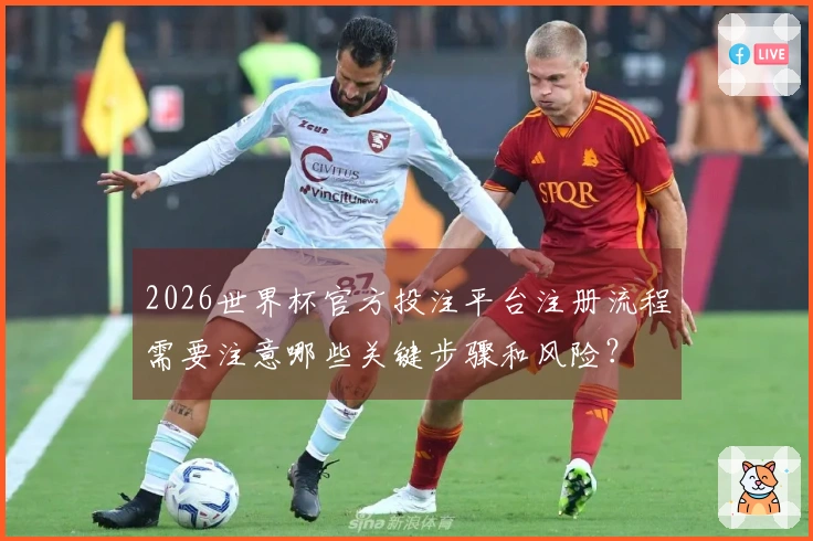 2026世界杯官方投注平台注册流程需要注意哪些关键步骤和风险？