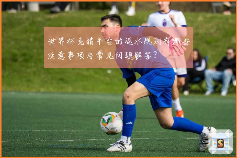世界杯竞猜平台的返水规则有哪些注意事项与常见问题解答？