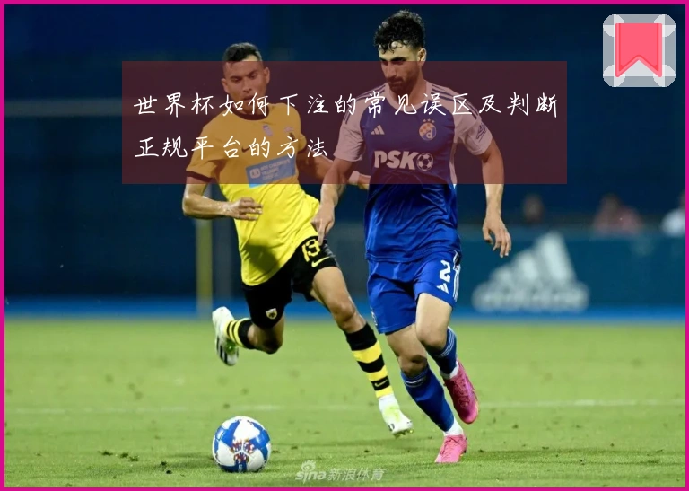 世界杯如何下注的常见误区及判断正规平台的方法